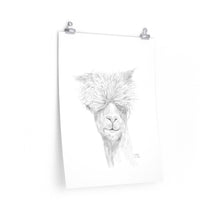 JUSTIN Llama- Art Paper Print