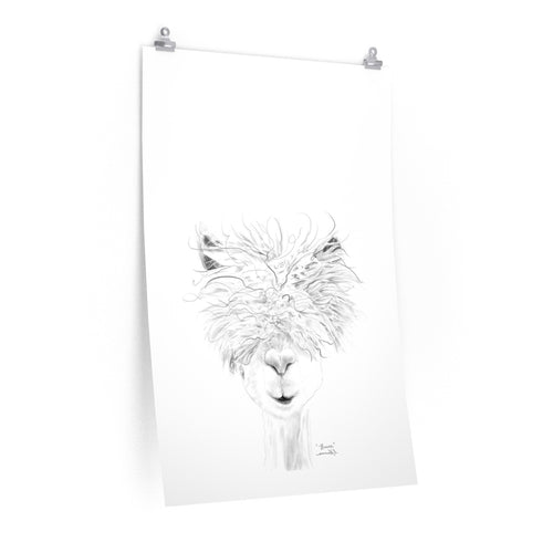 BRUCE Llama- Art Paper Print