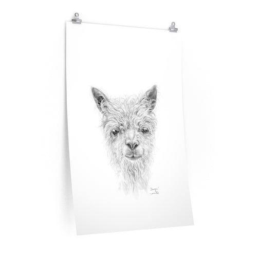 SAWYER Llama- Art Paper Print