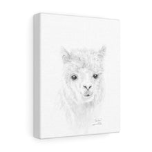 PARKER Llama - Art Canvas