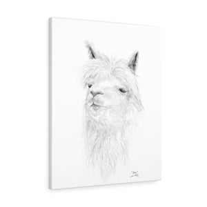 ASHA llama- Art Canvas