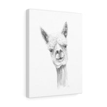 Luke Llama - Art Canvas
