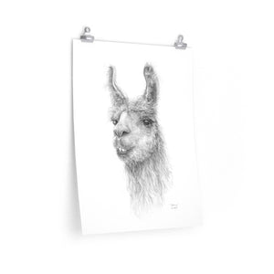 BETHANY Llama- Art Paper Print