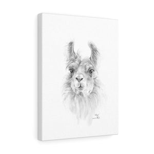 ALLYN Llama - Art Canvas