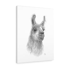 Rojo Llama- Art Canvas