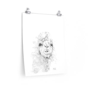 ANTONIO Llama- Art Paper Print