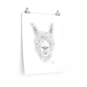 MELISSA Llama- Art Paper Print