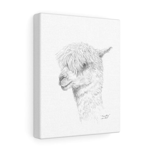 TIMOTHY Llama - Art Canvas