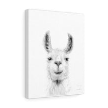 TANYA Llama - Art Canvas