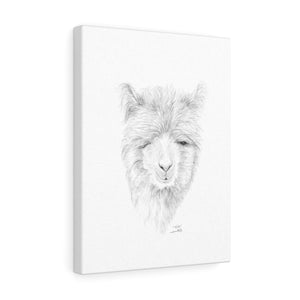 EDIE Llama - Art Canvas