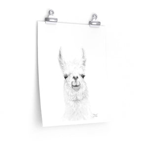 MAGNUS Llama- Art Paper Print