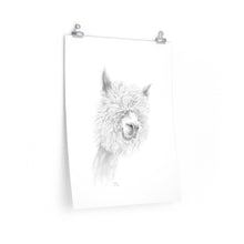 WALTER Llama- Art Paper Print