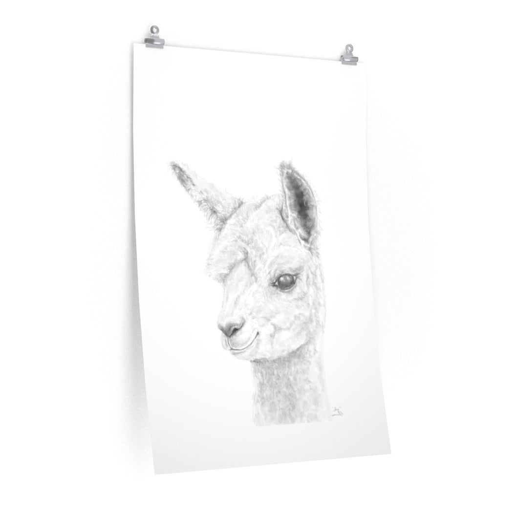 SKY Llama- Art Paper Print