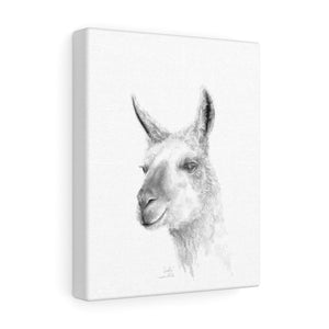 INDI Llama - Art Canvas