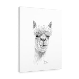 JENNIFER Llama - Art Canvas