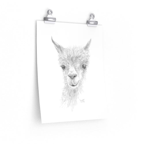 CAMPBELL Llama- Art Paper Print