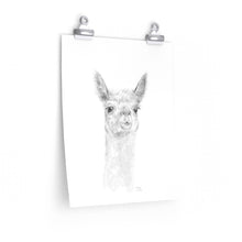 MADDIE Llama- Art Paper Print