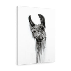 LORRY Llama - Art Canvas