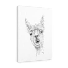 ZACH Llama - Art Canvas
