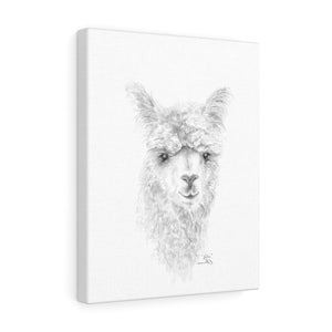 KATIE Llama - Art Canvas