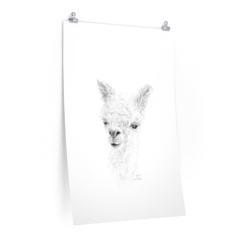 ZOE Llama- Art Paper Print