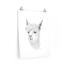 LIAM Llama- Art Paper Print