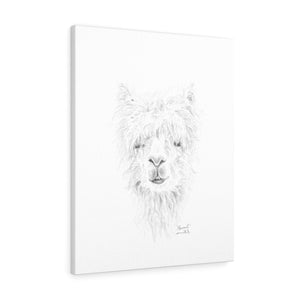 MARCAIL Llama - Art Canvas