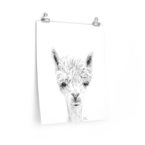 MIRKO Llama- Art Paper Print