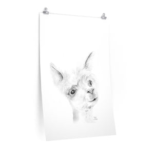 JULIE Llama- Art Paper Print