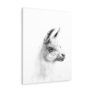 PEPPER Llama - Art Canvas