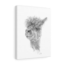 COCO Llama - Art Canvas