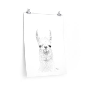 MAGNUS Llama- Art Paper Print