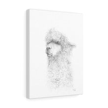 HARRIET Llama - Art Canvas