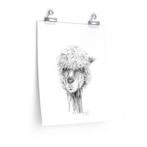 MICHAEL Llama- Art Paper Print