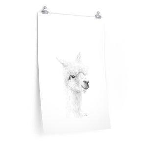 WES Llama- Art Paper Print