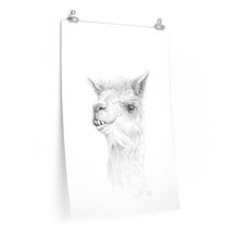 NOAH Llama- Art Paper Print