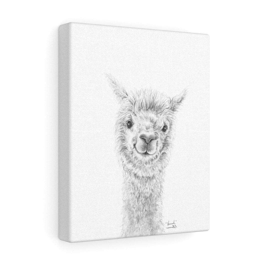 HANNAH Llama - Art Canvas