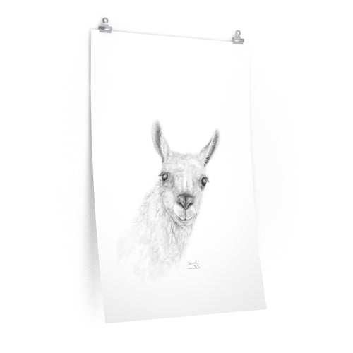 SARRAH Llama- Art Paper Print