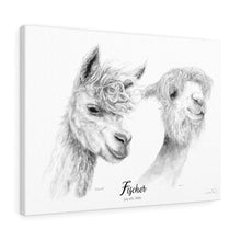 Fischer Llama - Portrait