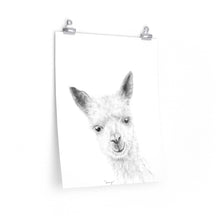 CAMRYN Llama- Art Paper Print