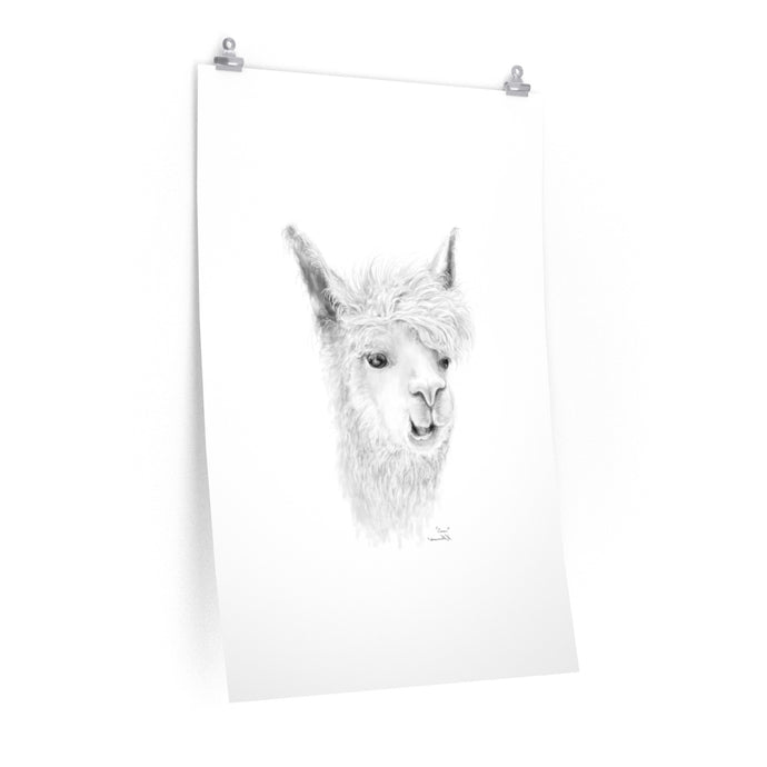 OMAR Llama- Art Paper Print
