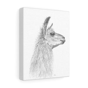 CAROL Llama - Art Canvas