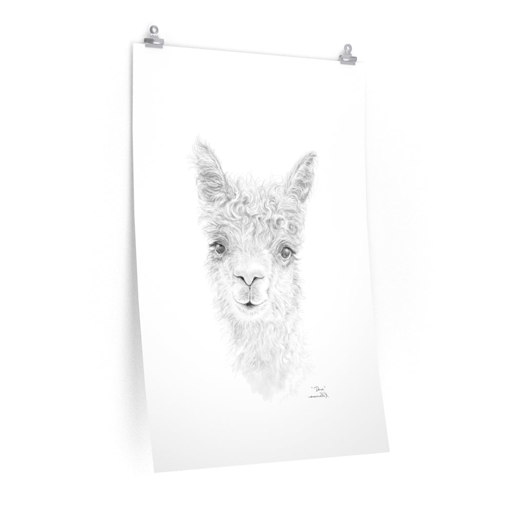 DARA Llama- Art Paper Print