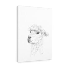 HEATHER Llama - Art Canvas