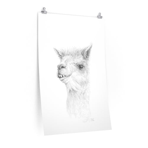 NOAH Llama- Art Paper Print