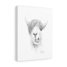 SAREN Llama - Art Canvas