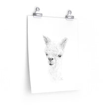 ZOE Llama- Art Paper Print