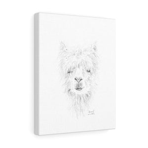 MARCAIL Llama - Art Canvas