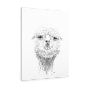 DREW Llama - Art Canvas