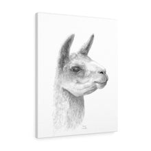 CIERRA Llama - Art Canvas